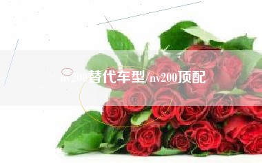 nv200替代车型/nv200顶配