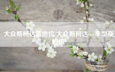 大众斯柯达落地价/大众斯柯达suv车型及报价