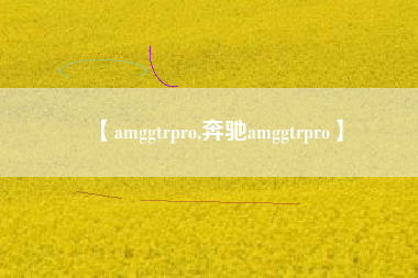 【amggtrpro,奔驰amggtrpro】