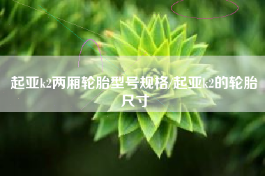 起亚k2两厢轮胎型号规格/起亚k2的轮胎尺寸