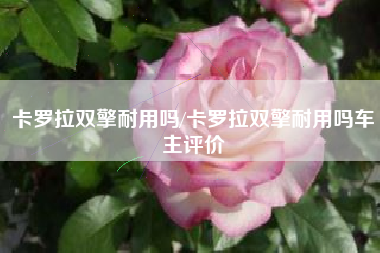 卡罗拉双擎耐用吗/卡罗拉双擎耐用吗车主评价