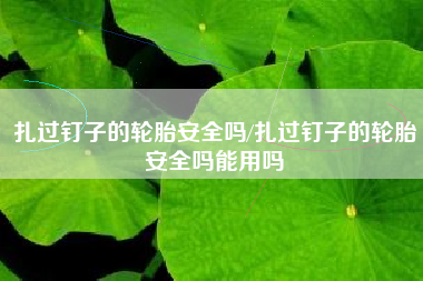 扎过钉子的轮胎安全吗/扎过钉子的轮胎安全吗能用吗