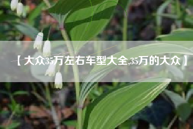 【大众35万左右车型大全,35万的大众】