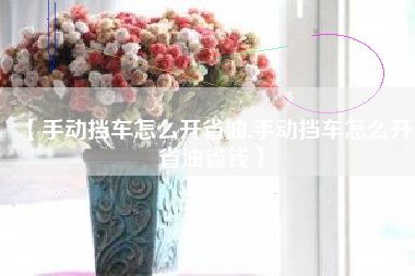 【手动挡车怎么开省油,手动挡车怎么开省油省钱】