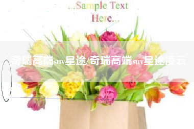 奇瑞高端suv星途/奇瑞高端suv星途凌云