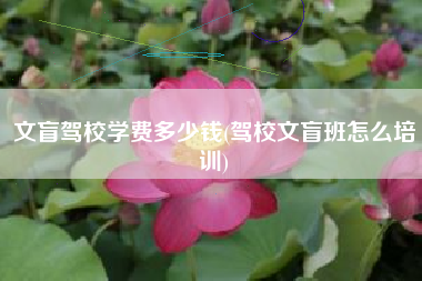 文盲驾校学费多少钱(驾校文盲班怎么培训) 文盲驾校学费多少钱(驾校文盲班怎么培训)