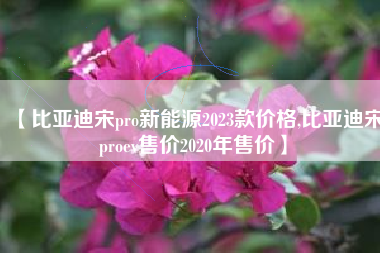 【比亚迪宋pro新能源2023款价格,比亚迪宋proev售价2020年售价】 【比亚迪宋pro新能源2023款价格,比亚迪宋proev售价2020年售价】