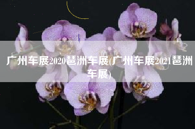 广州车展2020琶洲车展(广州车展2021琶洲车展)