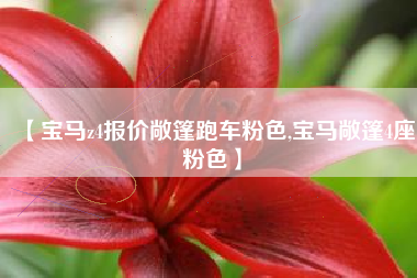 【宝马z4报价敞篷跑车粉色,宝马敞篷4座粉色】 【宝马z4报价敞篷跑车粉色,宝马敞篷4座粉色】