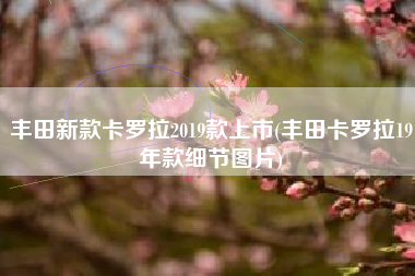 丰田新款卡罗拉2019款上市(丰田卡罗拉19年款细节图片) 丰田新款卡罗拉2019款上市(丰田卡罗拉19年款细节图片)