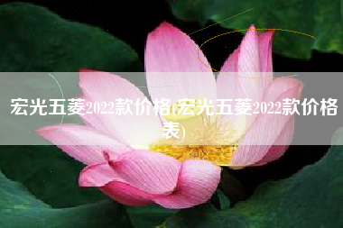 宏光五菱2022款价格(宏光五菱2022款价格表)