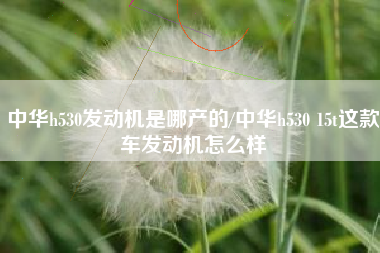 中华h530发动机是哪产的/中华h530 15t这款车发动机怎么样 中华h530发动机是哪产的/中华h530 15t这款车发动机怎么样