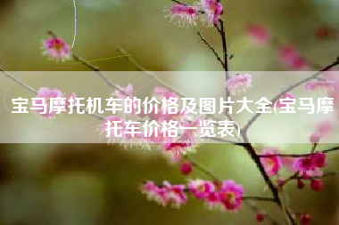 宝马摩托机车的价格及图片大全(宝马摩托车价格一览表)