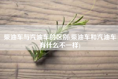 柴油车与汽油车的区别(柴油车和汽油车有什么不一样)