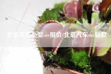 北京汽车小型suv报价/北京汽车suv新款 北京汽车小型suv报价/北京汽车suv新款