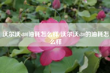沃尔沃s80l油耗怎么样/沃尔沃s80的油耗怎么样