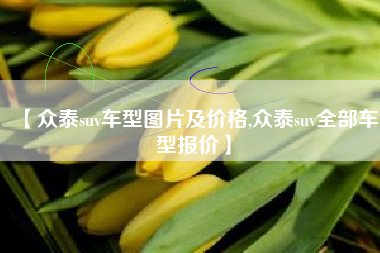 【众泰suv车型图片及价格,众泰suv全部车型报价】