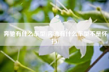 奔驰有什么车型(奔驰有什么车型不是怀挡)
