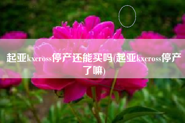 起亚kxcross停产还能买吗(起亚kxcross停产了嘛) 起亚kxcross停产还能买吗(起亚kxcross停产了嘛)
