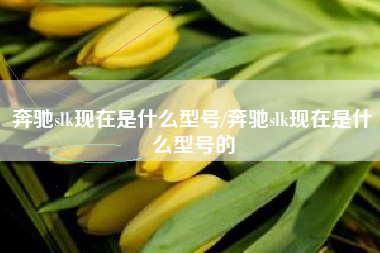 奔驰slk现在是什么型号/奔驰slk现在是什么型号的