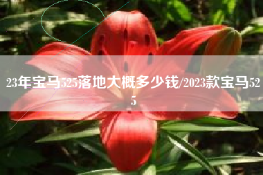 23年宝马525落地大概多少钱/2023款宝马525
