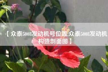 【众泰5008发动机号位置,众泰5008发动机构造剖面图】 【众泰5008发动机号位置,众泰5008发动机构造剖面图】