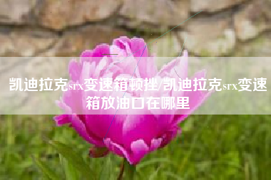 凯迪拉克srx变速箱顿挫/凯迪拉克srx变速箱放油口在哪里