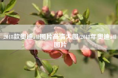 2018款奥迪a4l图片高清大图/2018年奥迪a4l图片