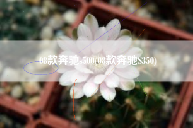 08款奔驰s500(08款奔驰S350)