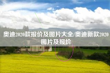 奥迪2020款报价及图片大全/奥迪新款2020图片及报价 奥迪2020款报价及图片大全/奥迪新款2020图片及报价