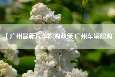 【广州最新汽车限购政策,广州车辆限购】 【广州最新汽车限购政策,广州车辆限购】