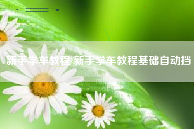 新手学车教程/新手学车教程基础自动挡