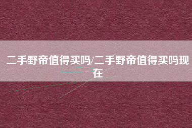 二手野帝值得买吗/二手野帝值得买吗现在