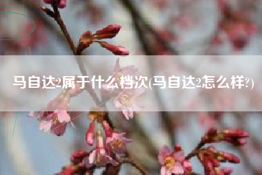 马自达2属于什么档次(马自达2怎么样?)