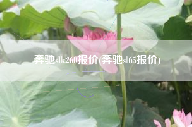 奔驰slk260报价(奔驰sl65报价) 奔驰slk260报价(奔驰sl65报价)