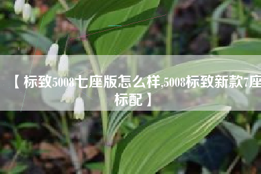 【标致5008七座版怎么样,5008标致新款7座标配】