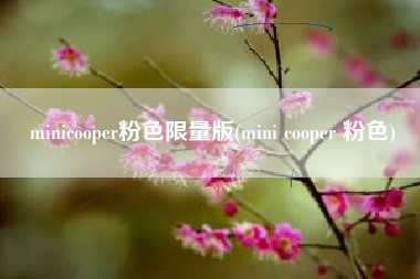 minicooper粉色限量版(mini cooper 粉色) minicooper粉色限量版(mini cooper 粉色)