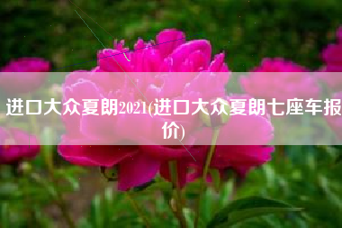 进口大众夏朗2021(进口大众夏朗七座车报价)
