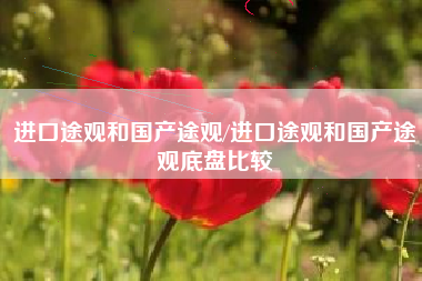 进口途观和国产途观/进口途观和国产途观底盘比较 进口途观和国产途观/进口途观和国产途观底盘比较