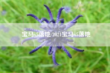 宝马x5落地/2021宝马x5落地