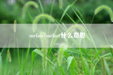 surface/surface什么意思