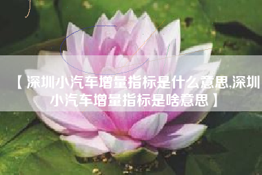 【深圳小汽车增量指标是什么意思,深圳小汽车增量指标是啥意思】 【深圳小汽车增量指标是什么意思,深圳小汽车增量指标是啥意思】