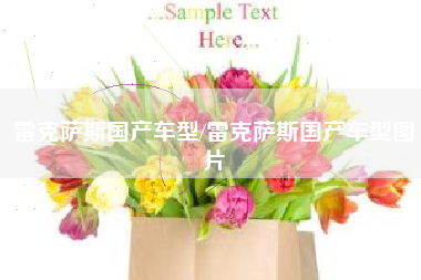 雷克萨斯国产车型/雷克萨斯国产车型图片