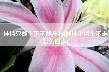 挂档只能上下不能左右(能挂上档车不走怎么回事)