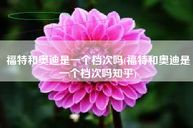 福特和奥迪是一个档次吗(福特和奥迪是一个档次吗知乎)