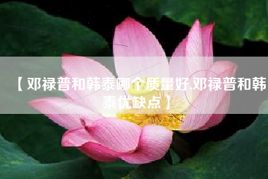 【邓禄普和韩泰哪个质量好,邓禄普和韩泰优缺点】