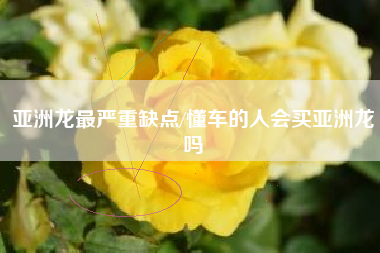 亚洲龙最严重缺点/懂车的人会买亚洲龙吗