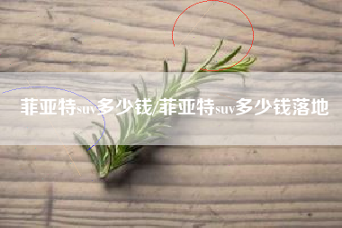 菲亚特suv多少钱/菲亚特suv多少钱落地