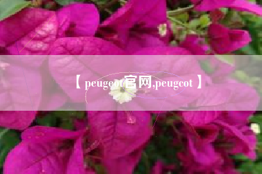 【peugeot官网,peugcot】
