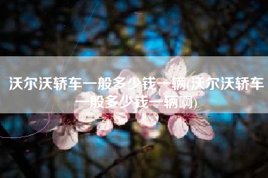 沃尔沃轿车一般多少钱一辆(沃尔沃轿车一般多少钱一辆啊)